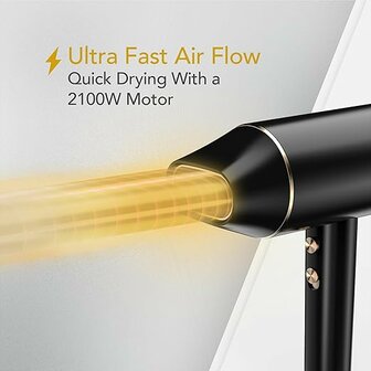 Wahl Home Products&nbsp;Ionic Flow f&ouml;hn