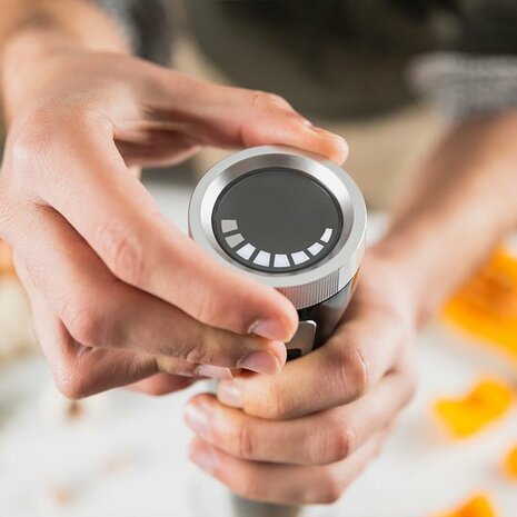 Ufesa Jupiter 1500W Staafmixer